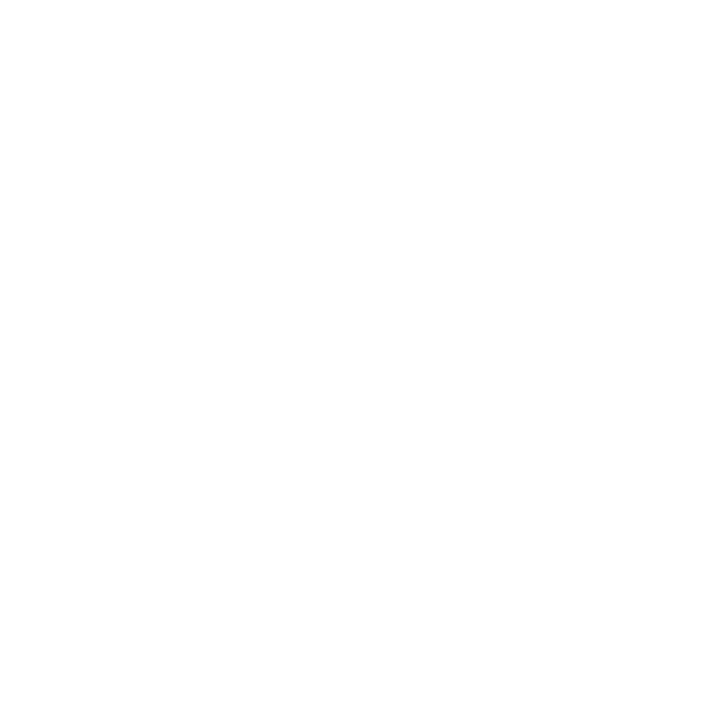 Local SEO
